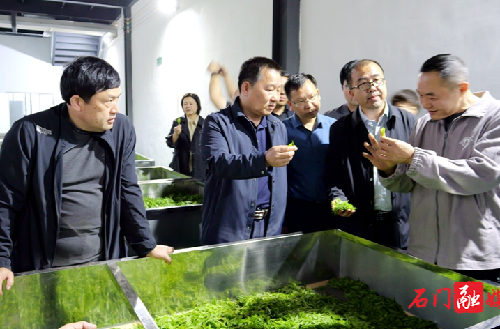 市领导带领调研组来石调研茶叶产业发展情况