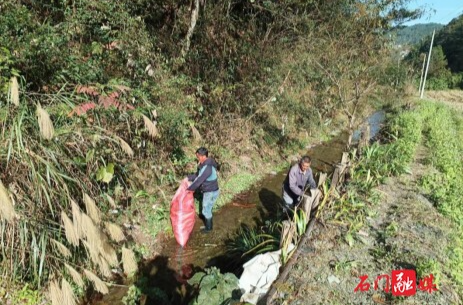 太平鎮(zhèn)：強化河道保潔 營造干凈水環(huán)境