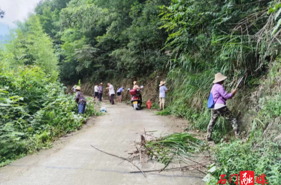 白云鎮(zhèn)竹巷口村：扮靚村莊展新顏 道路安全記心間