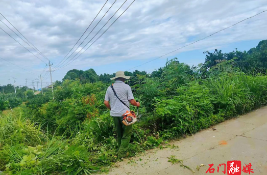 夾山鎮(zhèn)孫家崗村：道路砍青除隱患，群眾出行更安全