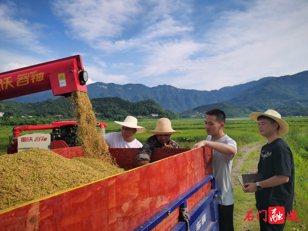 石門：聚焦惠農(nóng)補貼 守護糧食安全“耕”基