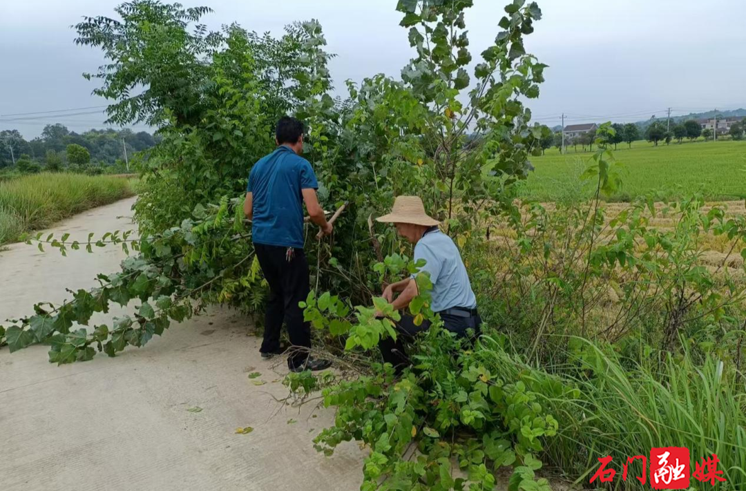 蒙泉鎮(zhèn)潘家鋪社區(qū)：同心協(xié)力除雜草 道路清障保通暢