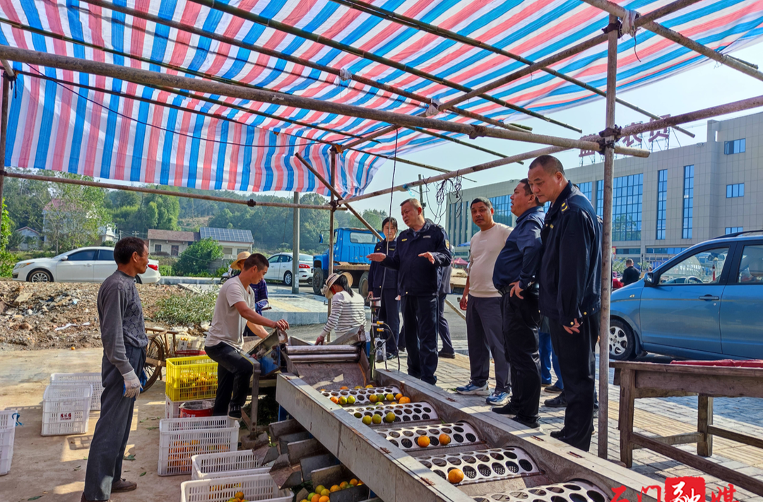 夹山镇：开展柑橘销售秩序整治，营造良好市场环境