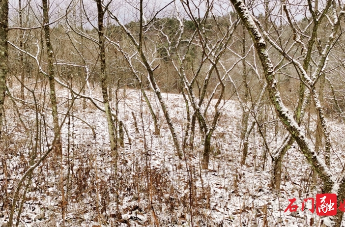 石门：壶瓶山下雪啦！银装素裹景如画