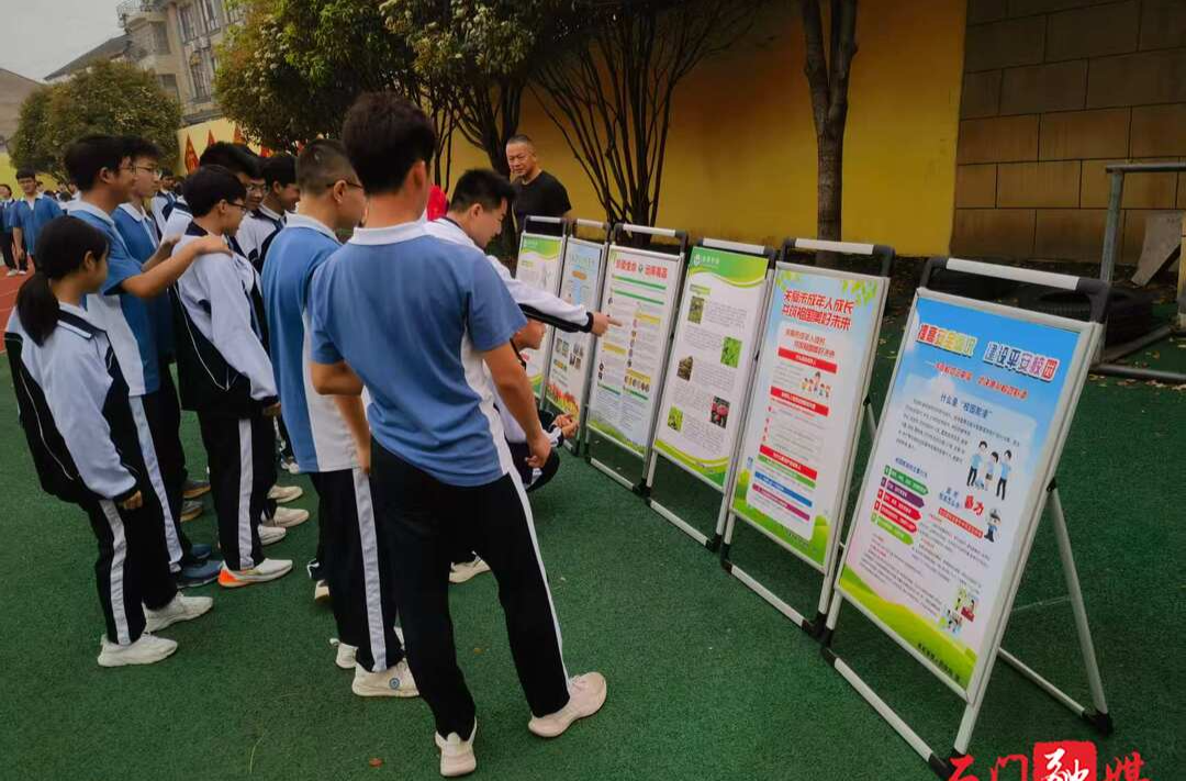 石门县易家渡镇：开展“4.15全民国家安全教育日”宣传活动