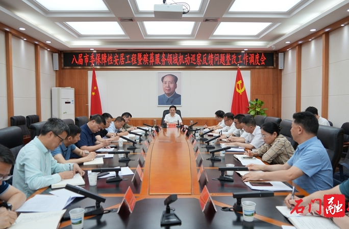 吴兴国调度市委保障性安居工程暨殡葬服务领域机动巡察反馈问题整改工作