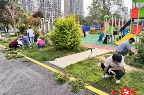 永興街道新廠社區(qū)：守護(hù)“文化窗口” 共建“幸福陣地”