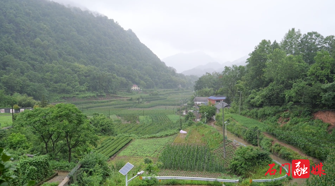 石門：全力保障受災(zāi)群眾生活  筑牢防汛民生底線
