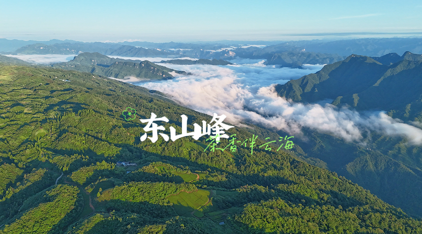 石門：避暑勝地“涼資源”變“熱產(chǎn)業(yè)”！東山峰民宿經(jīng)濟(jì)“鏈”動(dòng)鄉(xiāng)村振興