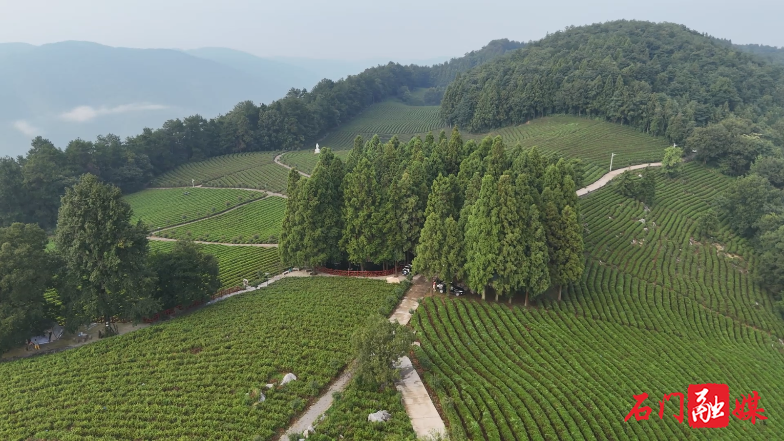 石門(mén)：露營(yíng)+品茶+看星空，白云山解鎖夏日“清涼秘方”