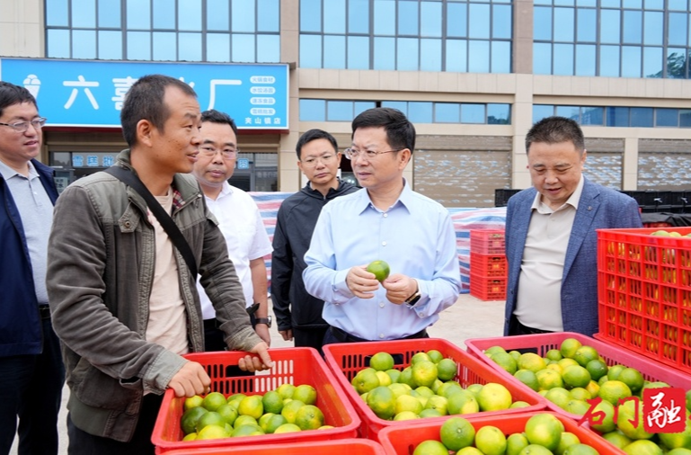 吴兴国调研柑橘销售工作