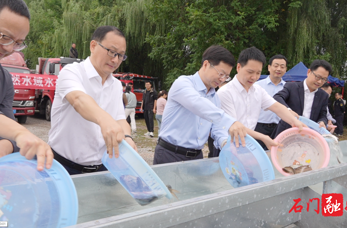 180余万尾鱼苗投放澧水！石门开展2025年天然水域水生生物增殖放流活动