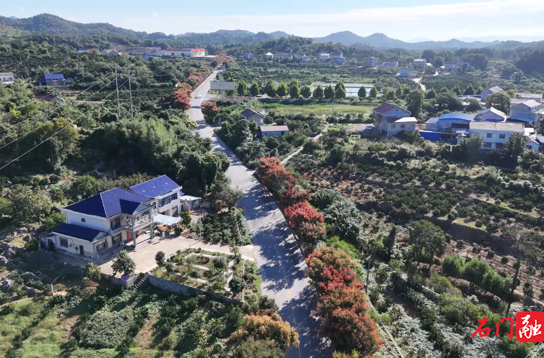 石门：栾树映秋 绘就城市诗意画卷