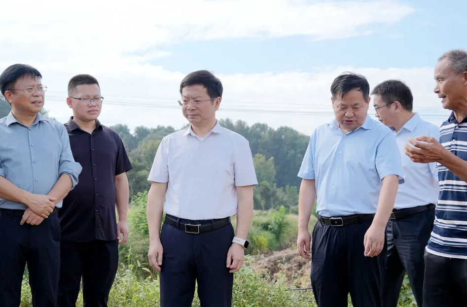 吴兴国督导调研秸秆禁烧与综合利用工作