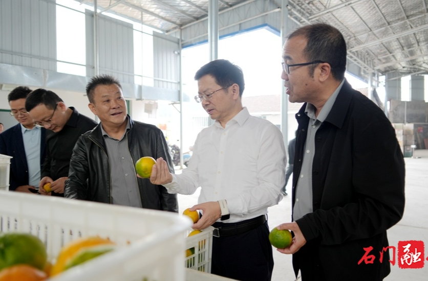 吴兴国调研督导农业农村重点工作