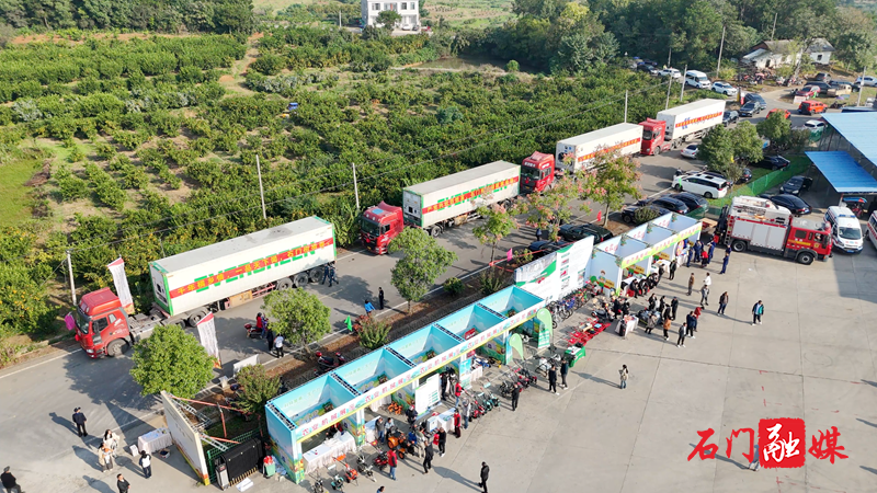 石门柑橘出口发车！2025年预计出口2550条货柜