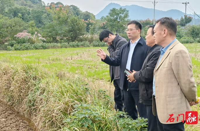 【秸秆禁限烧和综合利用】李长春赴蒙泉镇督导秸秆禁烧和综合利用工作