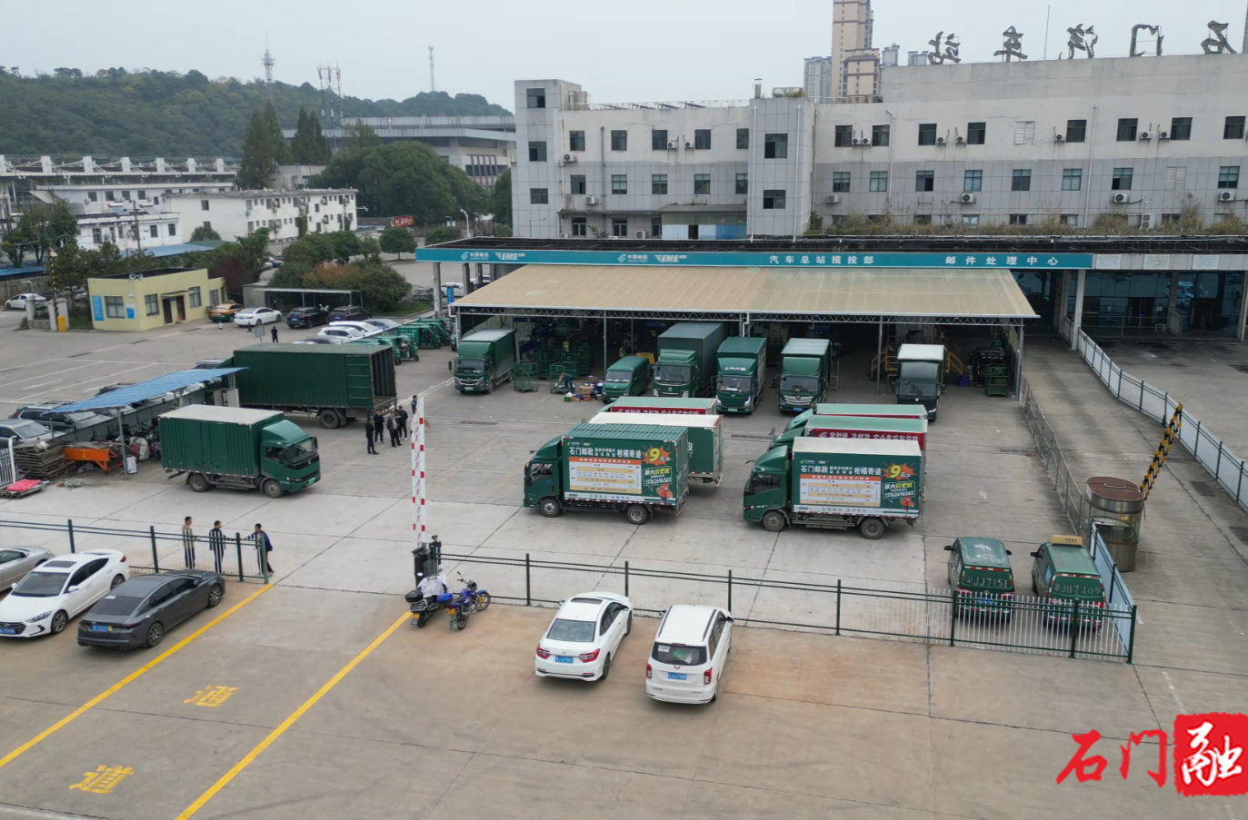 石门柑橘出山记：最忙快递员竟是...