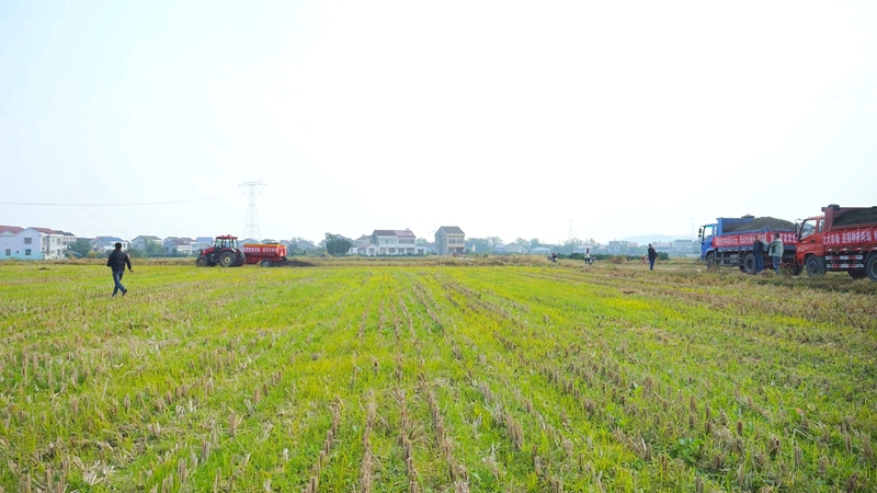 粪污变宝田生金，石门农业有妙招！