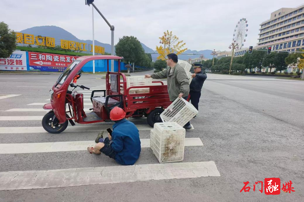 暖心！石门城管紧急救助受伤橘农