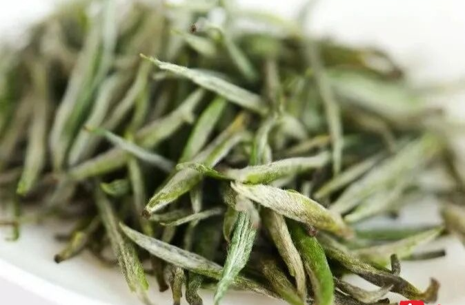 白云山有机茶两款产品获得省级奖项