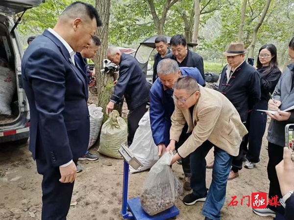 石门农商银行：300万“及时雨”润泽中药材产业