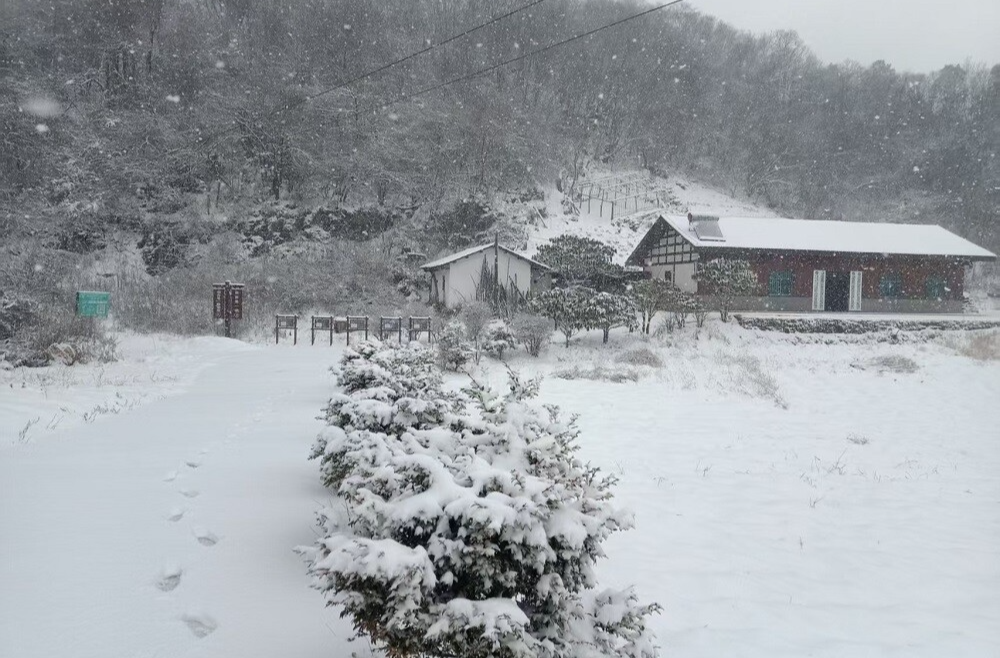 常德石门下雪啦！