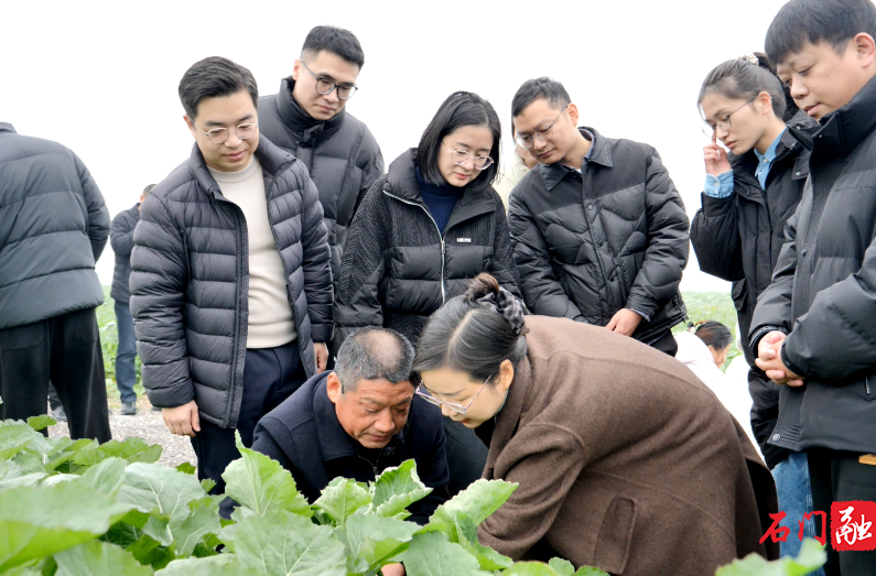 石门易家渡：锚定“三农”抓培育 淬炼骨干促振兴