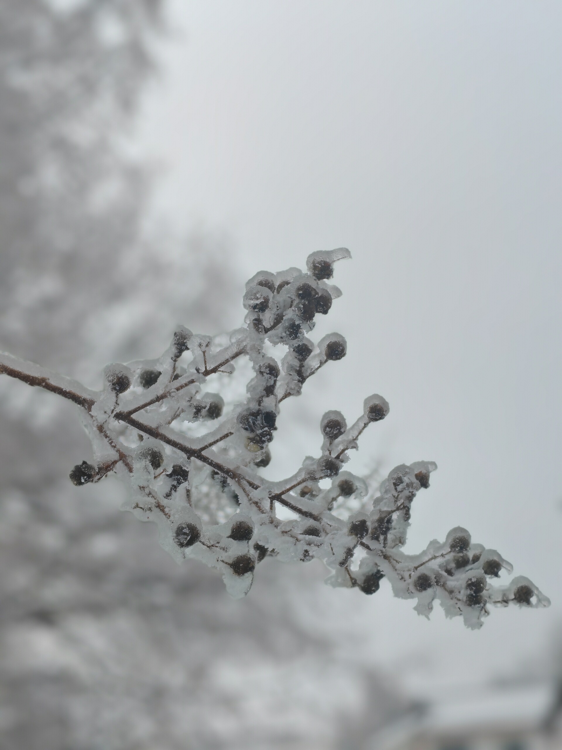 氛围感绝了！石门美丽雪景上线