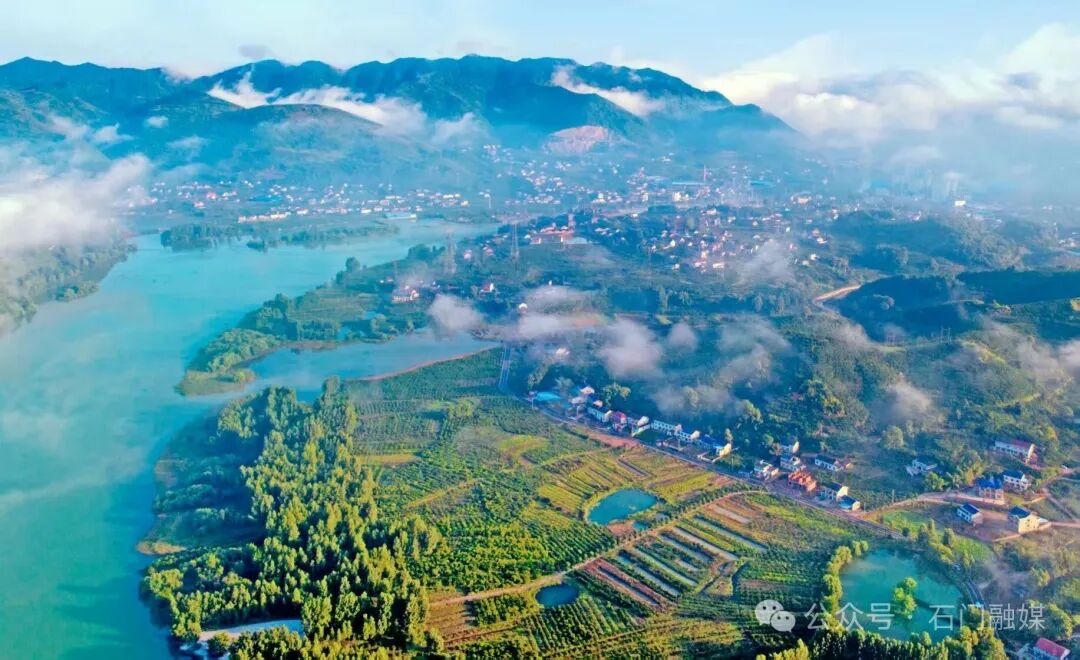 【非凡“十四五”】新关镇：五年答卷映初心 实干担当赴新程