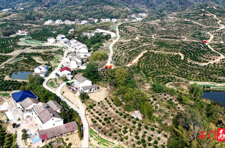 【非凡“十四五”】新铺镇：项目赋能强根基 民生提质暖民心