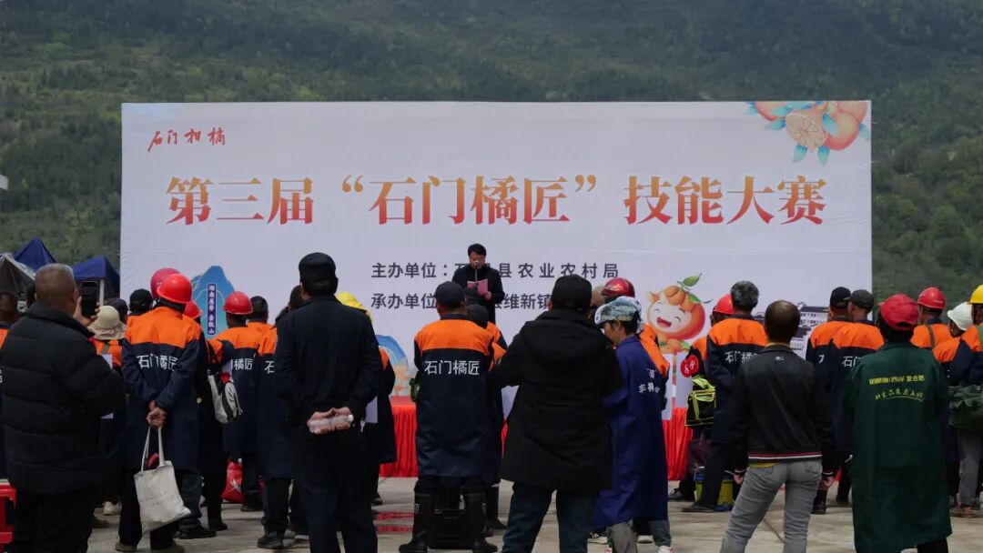 石门“金剪刀”柑橘剪枝大赛火热开赛！