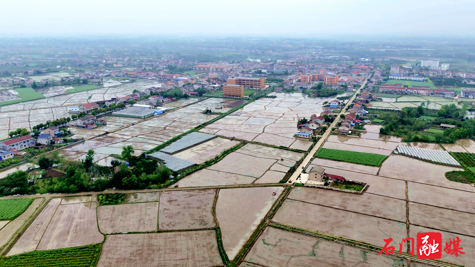 石门：春耕生产好时节 早稻种植插秧忙