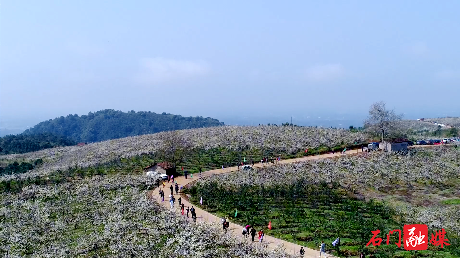 暮春赴山野！石门蒙泉七四林场绘就生态休闲新画卷