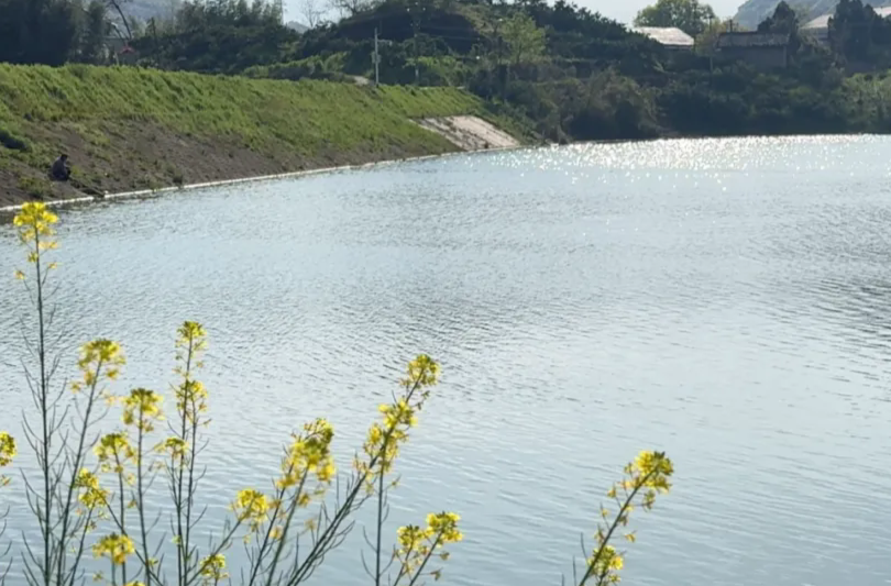 石门“幸福水”上线！近5000村民喝上安心水