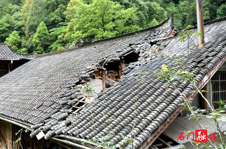 石门壶瓶山：有惊无险！巨石突然滚落，提前转移零伤亡！