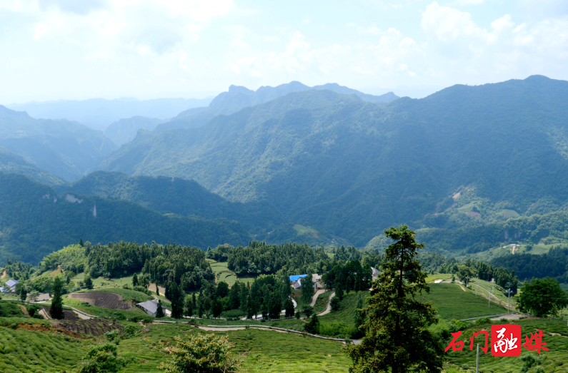 25℃山居清爽一夏 石门高山民宿迎避暑旺季