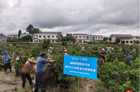 石门所街：干群同心抢抓“黄金期”，灾后重建跑出“加速度”