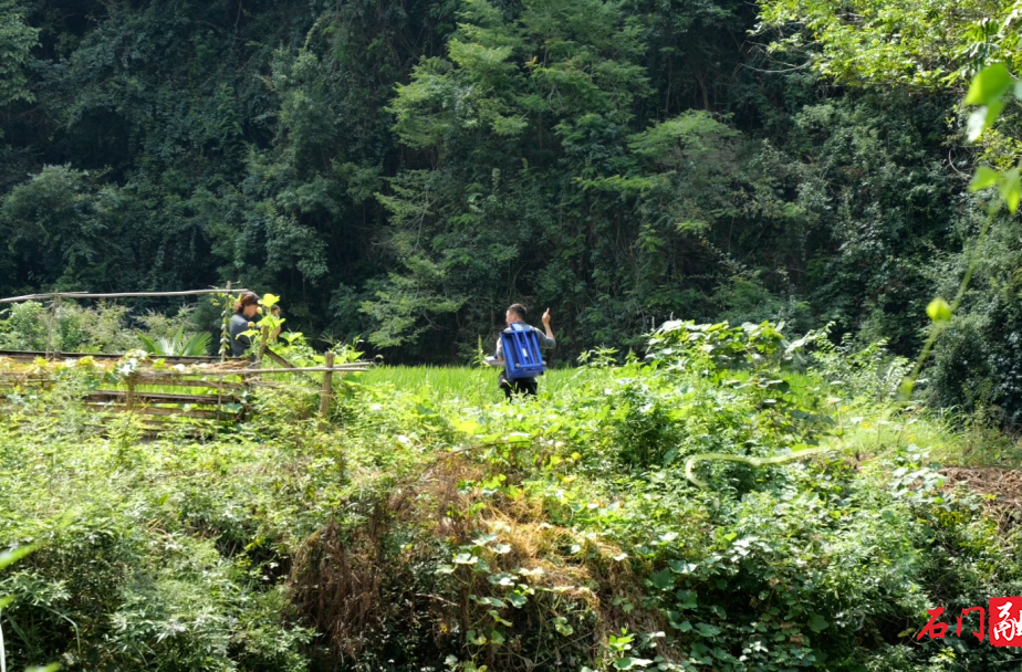 “我希望更多的人来模仿我！”石门博主跑山收“货”助农