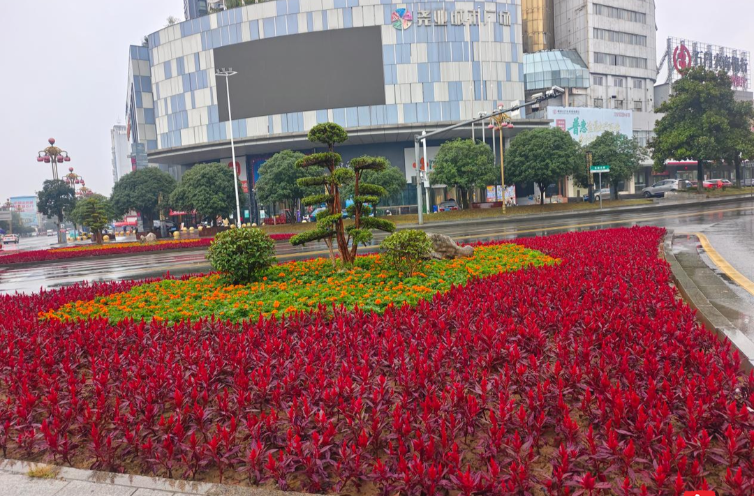 石门城管：多措并举全力营造浓厚双节氛围