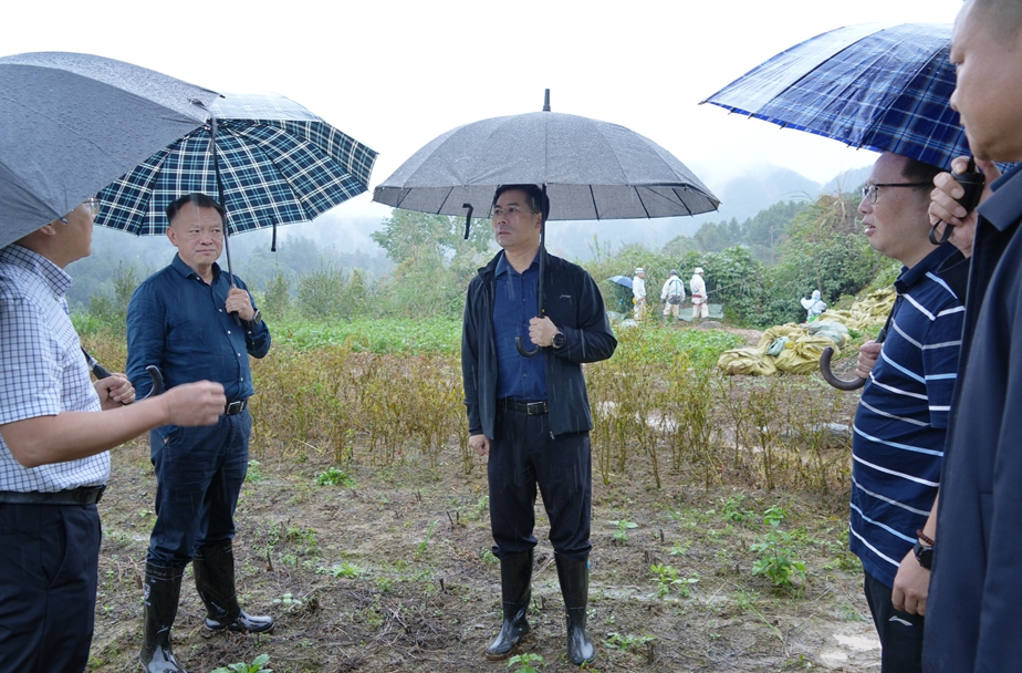 李长春督导溶洞天坑垃圾清理整治工作