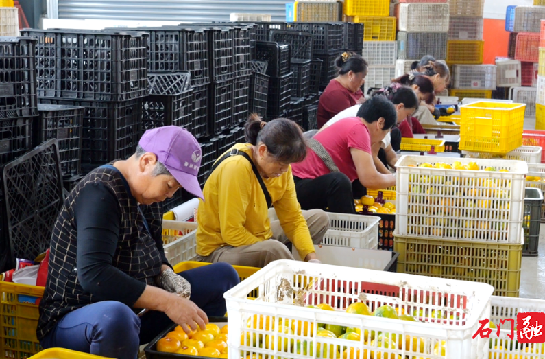 石门：盘活闲置沉睡资产 拓宽乡村富民增收路