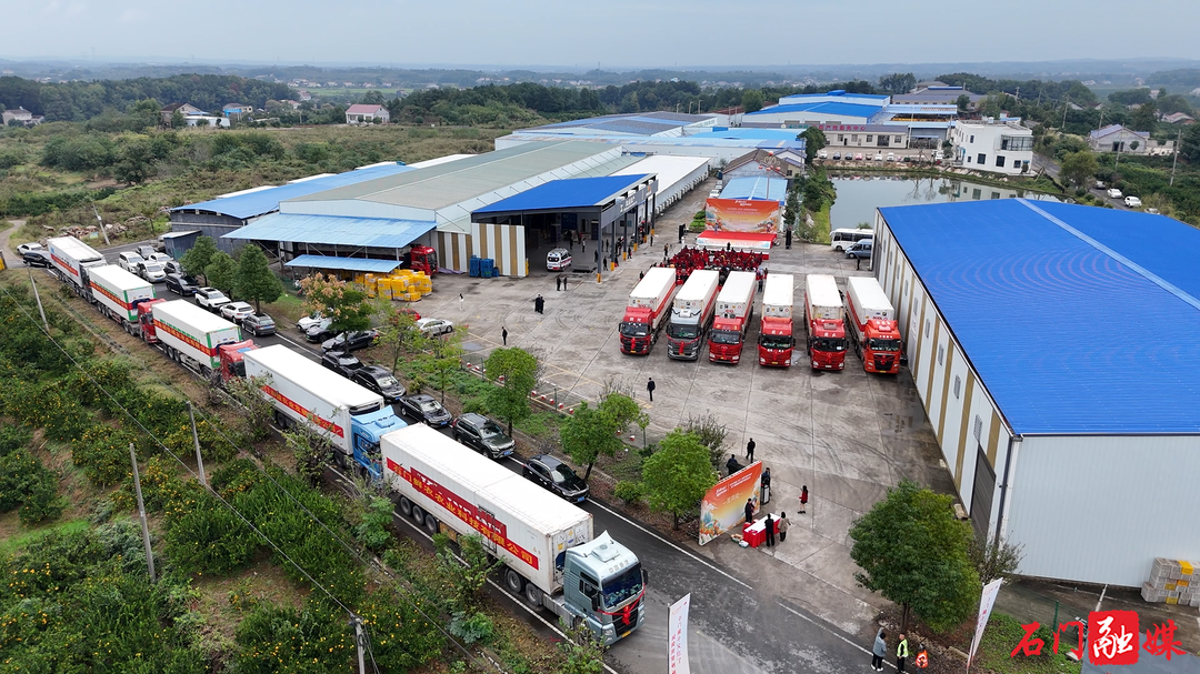 11车275吨装车集中启运！石门柑橘连续59年远销海外