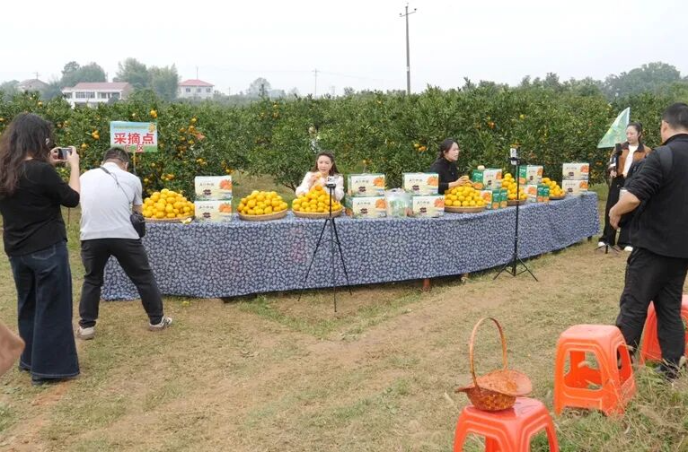 第四届“名评名家湖湘汇”走进石门 生态产业故事引网络大咖点赞
