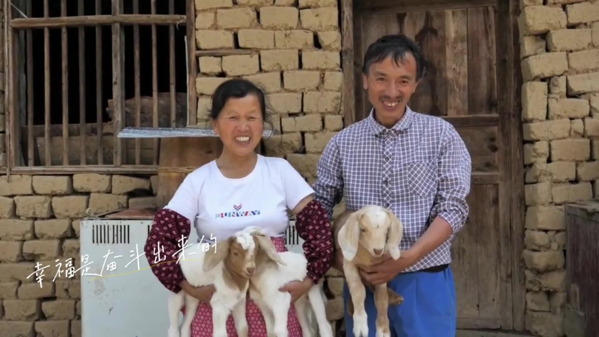 常德石门：杜修春夫妇的幸福“羊关道”