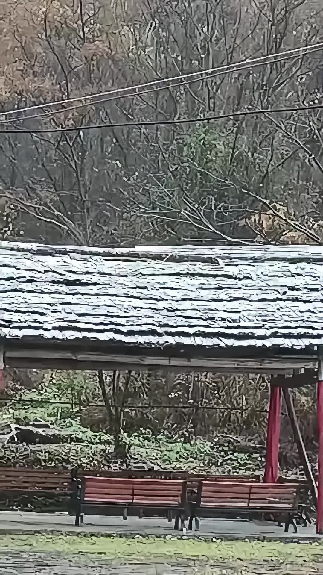 视频 | 石门：壶瓶山今冬初雪登场